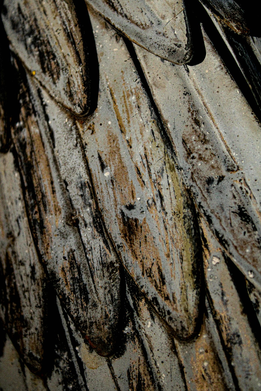 Entomology Pinwheel wallpaper pattern — base photo: Metal sculpture 