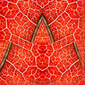Close-up of a detailed purple organic chemistry molecular structure pattern in a brick layout on self-adhesive wallpaper.