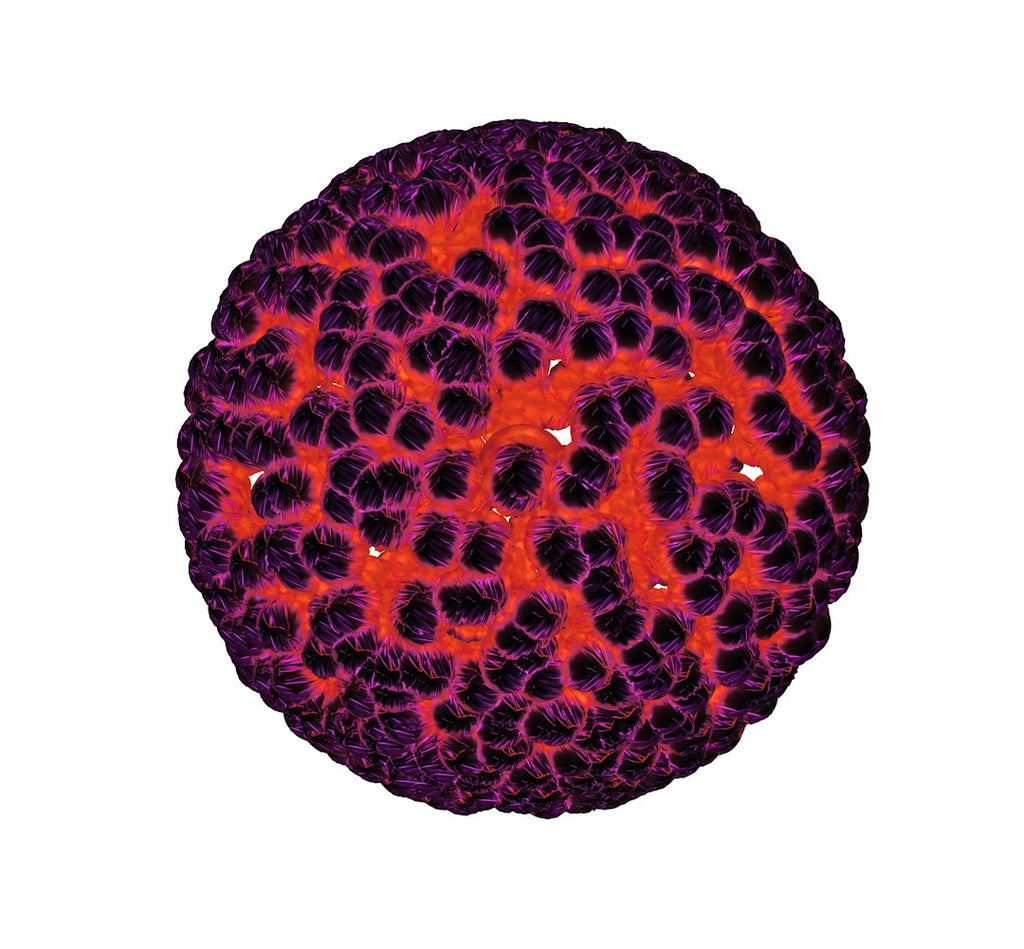 WALLPAPER⁶ — seamless mirror4 pattern from bacteria microscope colorful, Biology — base photo: Abstract round relief object, a particle of lava and ash