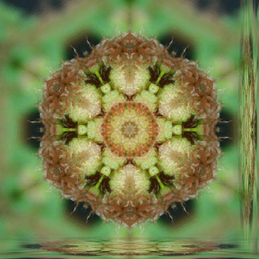 Botanics Kaleidoscope wallpaper pattern