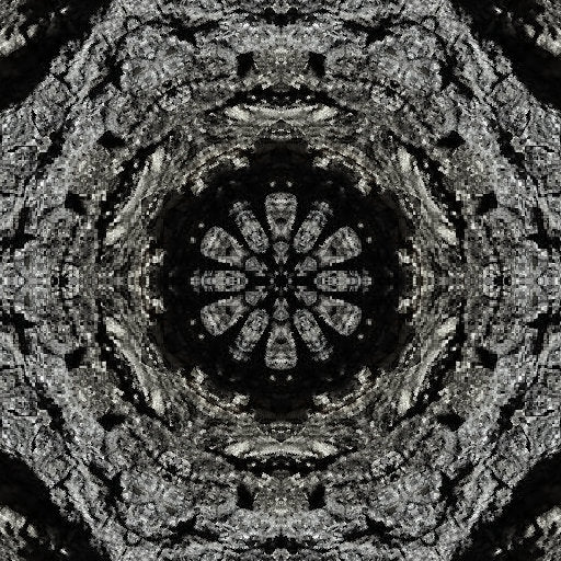 Close-up of a tree bark pattern rendered in a symmetrical kaleidoscope style, showcasing botanical and fractal elements. Designed by wallpaper⁶.