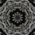 Close-up of a tree bark pattern rendered in a symmetrical kaleidoscope style, showcasing botanical and fractal elements. Designed by wallpaper⁶.