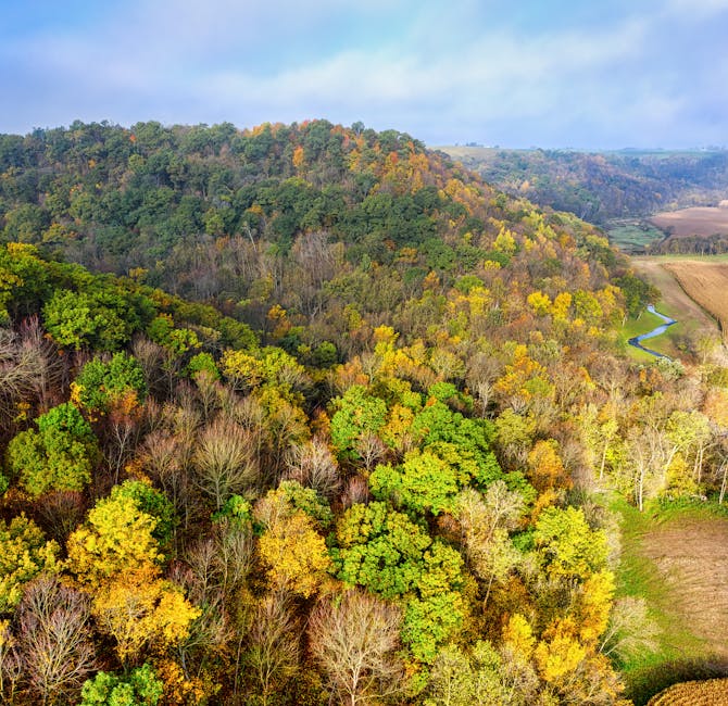 AI-generated hexagonal pattern with a complex, symmetrical design inspired by transformer networks. High-quality digital art for wallpaper. — base photo: A high-angle aerial view captures the breathtaking beauty of vibrant autumn foliage blanketing rolli