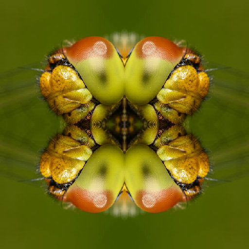 A symmetrical Mirror pattern of green and gold beetle wings, creating a kaleidoscopic entomological design.