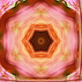 Physics Kaleidoscope wallpaper pattern