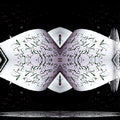 Seamless mirror wallpaper pattern — Calligraphy by wallpaper⁶
