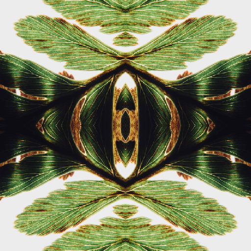 Botanics Mirror wallpaper pattern