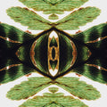 Botanics Mirror wallpaper pattern