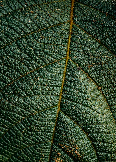 Cryptography Vertical Strip wallpaper pattern — base photo: An intricate close-up of a textured green leaf showcasing veins and surface details.