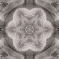 Complex kaleidoscope pattern of a golden-crowned figure with mechanical details, creating a rhythmic radial floral design.