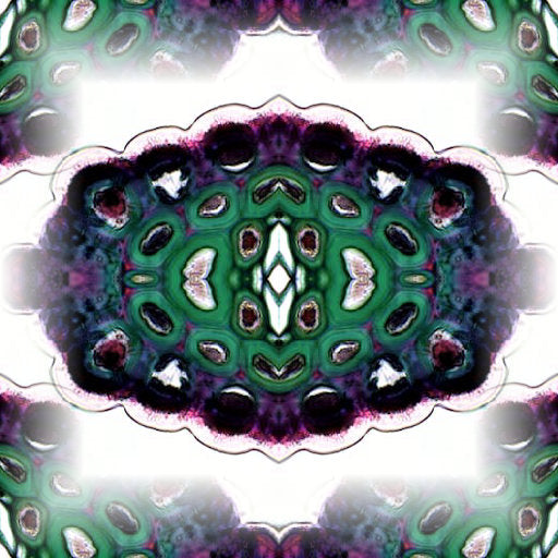 Biology Mirror wallpaper pattern