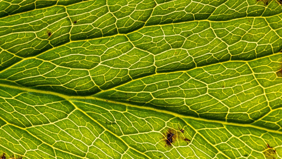 Chemistry Diamond wallpaper pattern — base photo: Detailed macro shot of vibrant green leaf veins showcasing nature's intricate patterns.