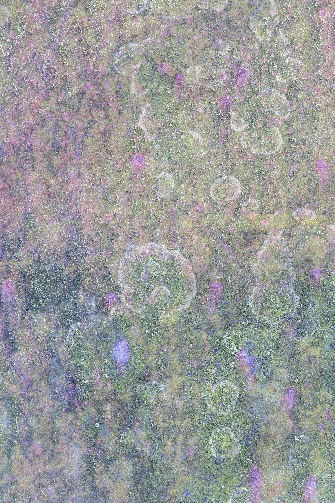 Biology Hexagon wallpaper pattern — base photo: a group of bubbles floating on top of a lush green field