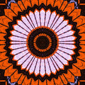 A black and white Op-Art pattern with radial kaleidoscope symmetry creating a swirling, hypnotic geometric vortex.