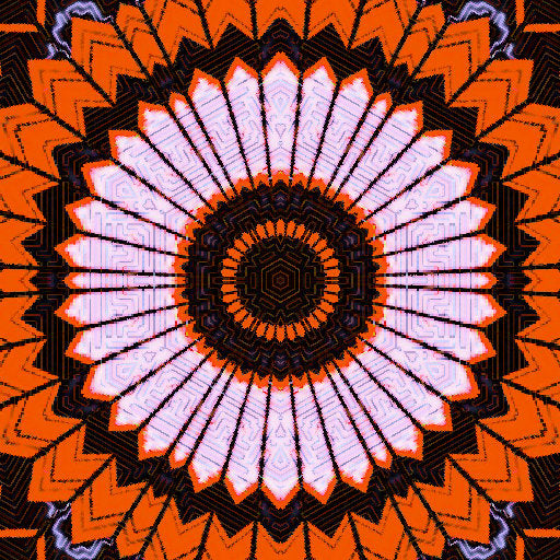 A black and white Op-Art pattern with radial kaleidoscope symmetry creating a swirling, hypnotic geometric vortex.