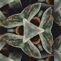 Botanics Hexagon wallpaper pattern