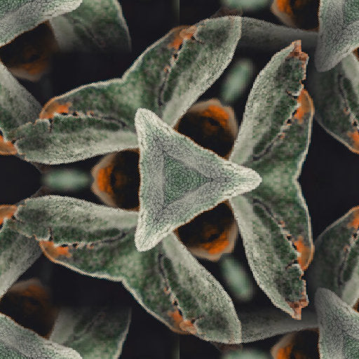 Botanics Hexagon wallpaper pattern