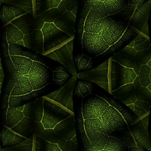 Portraits Hexagon wallpaper pattern