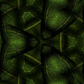Portraits Hexagon wallpaper pattern