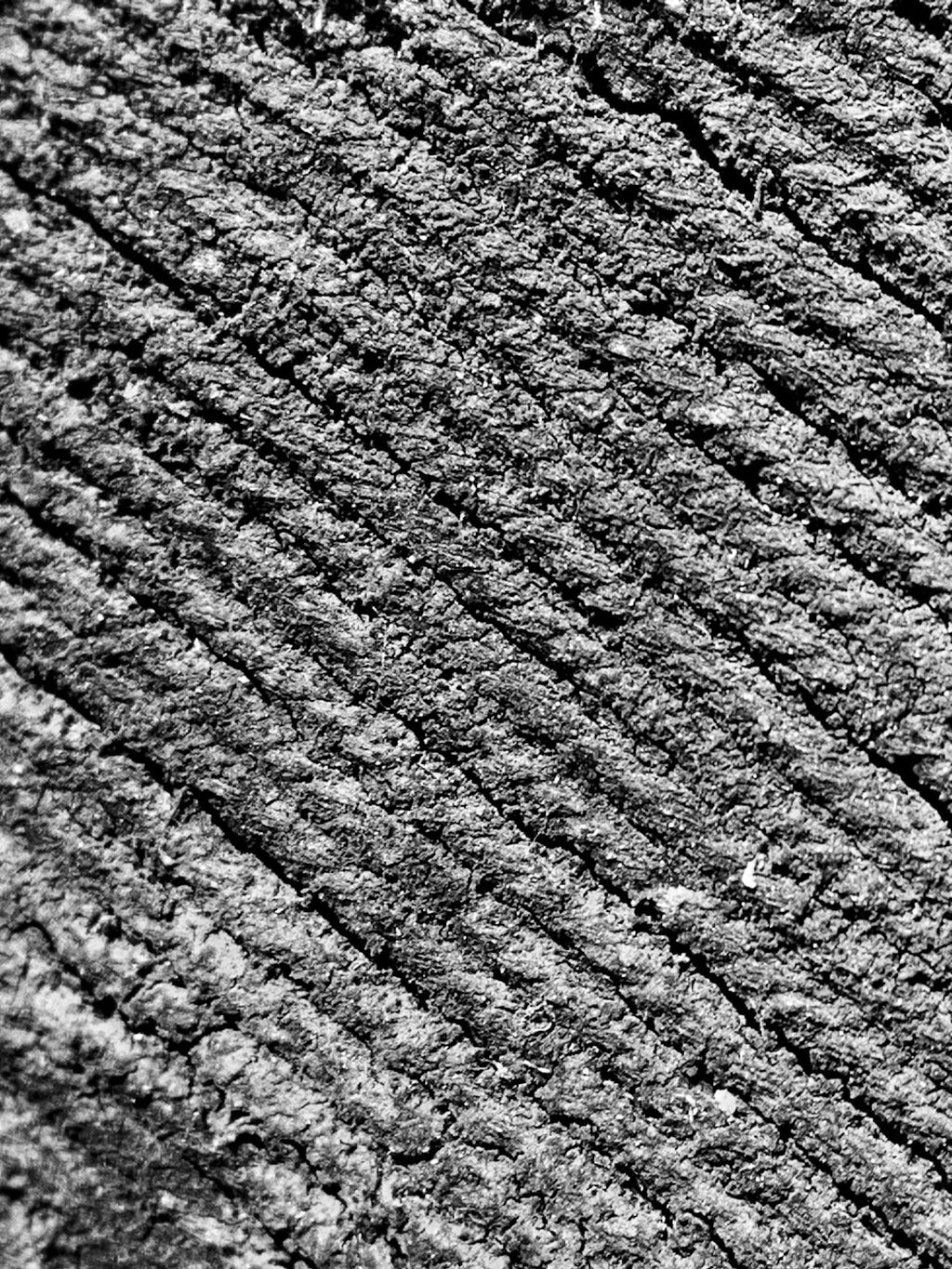 Seamless kaleidoscope wallpaper pattern — Biochemistry by wallpaper⁶ — base photo: a black and white photo of a piece of wood