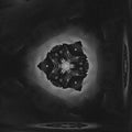 WALLPAPER⁶ — seamless hex pattern from cell microscope, Biology