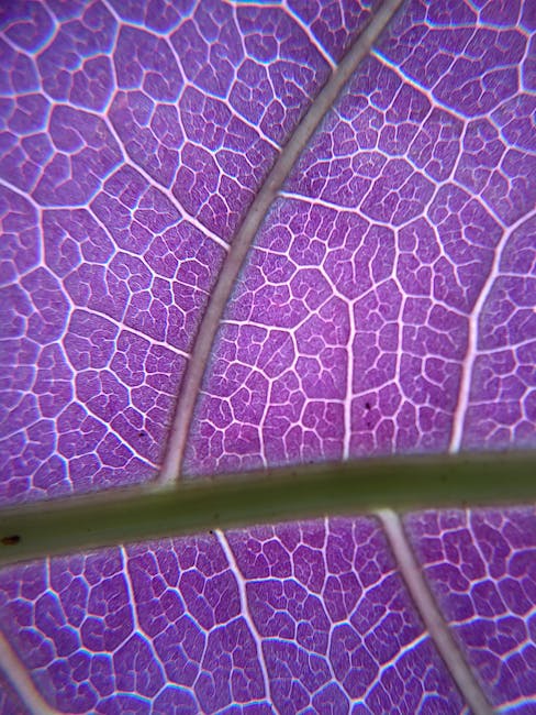 Close-up of a detailed purple organic chemistry molecular structure pattern in a brick layout on self-adhesive wallpaper. — base photo: A high-resolution digital rendering of abstract organic molecular chains. The forms are stylized wit