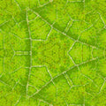 Seamless hex wallpaper pattern — Biochemistry by wallpaper⁶