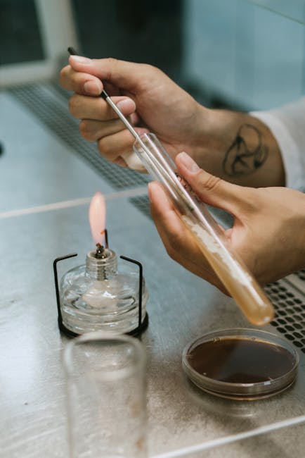 Seamless kaleidoscope wallpaper pattern — Biochemistry by wallpaper⁶ — base photo: Scientist carefully uses a Bunsen burner to heat a test tube in a laboratory setting.