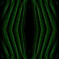 Seamless mirror wallpaper pattern — Origami by wallpaper⁶