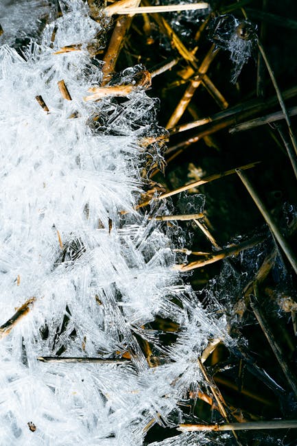 Chemistry Diamond wallpaper pattern — base photo: Intricate ice crystals form a natural pattern on dried plant stems in winter.