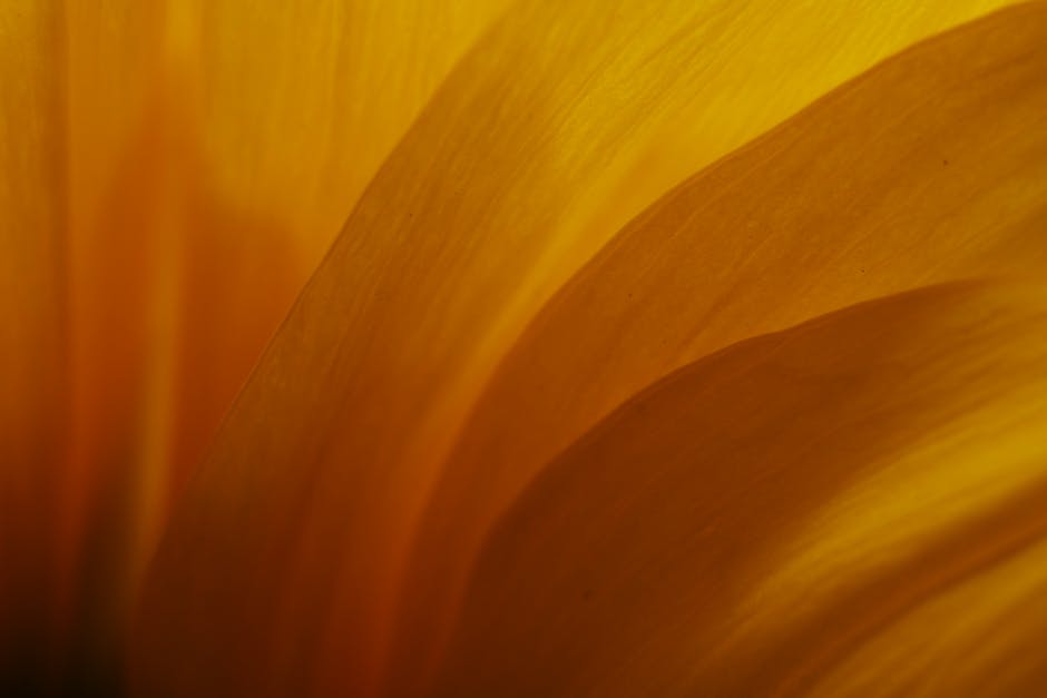 Seamless mirror wallpaper pattern — Origami by wallpaper⁶ — base photo: Close-up of vibrant yellow flower petals in a macro photography shot, showcasing texture and color.