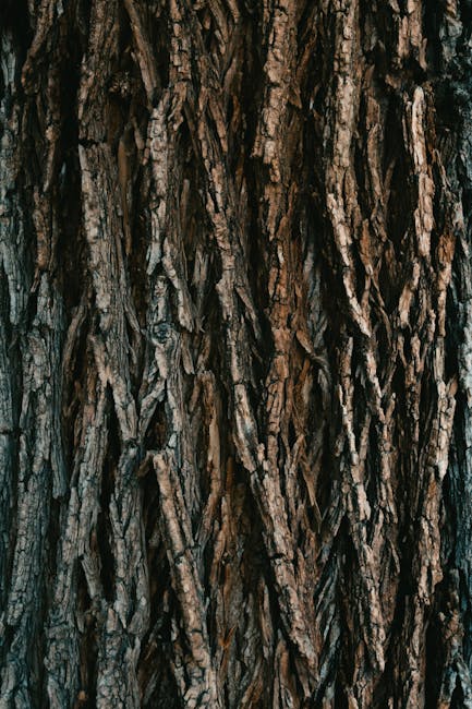 Close-up of an abstract, symmetrical pattern inspired by tree bark textures in earthy brown and tan tones, featuring a kaleidoscope effect. — base photo: A macro shot of tree bark, revealing deep crevasses and rugged textures. The natural variations in c
