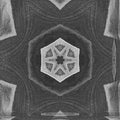 Black and white botanical illustration transformed into a symmetrical kaleidoscope pattern with wallpaper⁶