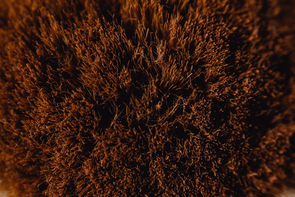 Cosmology Wave wallpaper pattern — base photo: Macro shot of a detailed brown texture surface resembling grass or bristles.