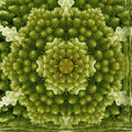 Fractals Kaleidoscope wallpaper pattern