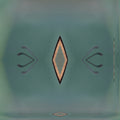 Entomology Mirror wallpaper pattern