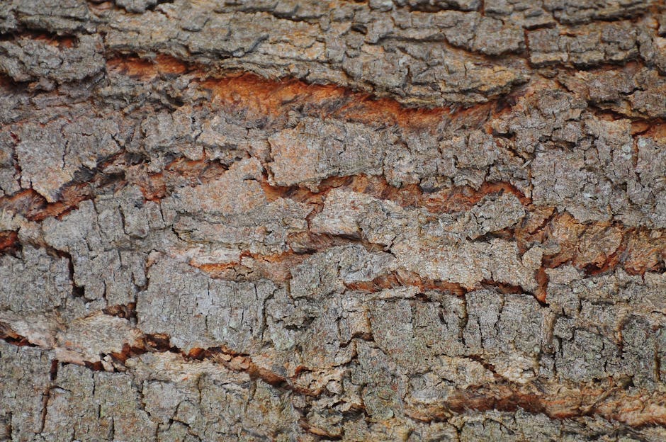 A self-adhesive wallpaper pattern featuring a kaleidoscope of botanical shapes derived from the texture of cracked tree bark. — base photo: A detailed, high-resolution macro photograph showcases the intricate network of cracks and fissures 