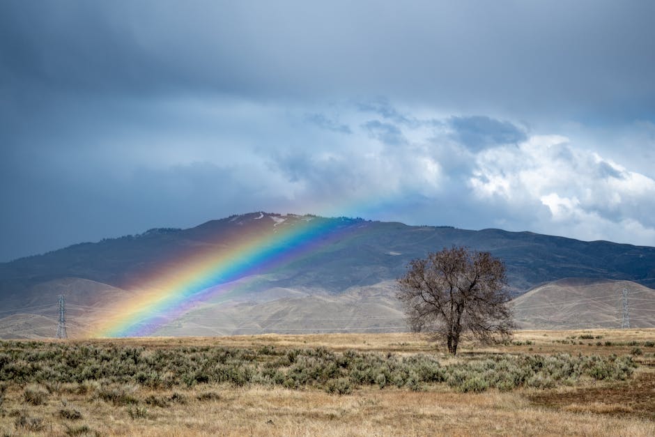 Meteorology Kaleidoscope wallpaper pattern — base photo: A stunning rainbow arches over a vast landscape with mountains and a solitary tree.