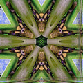 Seamless kaleidoscope wallpaper pattern — Origami by wallpaper⁶