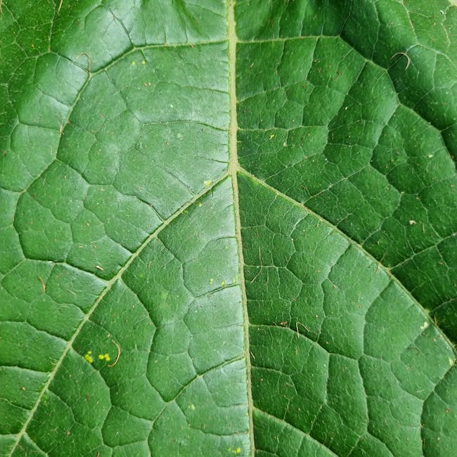 A symmetrical Mirror pattern of green plant leaves and cellular textures forming a complex botanical tapestry. — base photo: A high-resolution macro photograph capturing the dense, overlapping layers of tropical leaves and va
