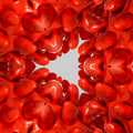 Seamless hex wallpaper pattern — Biochemistry by wallpaper⁶