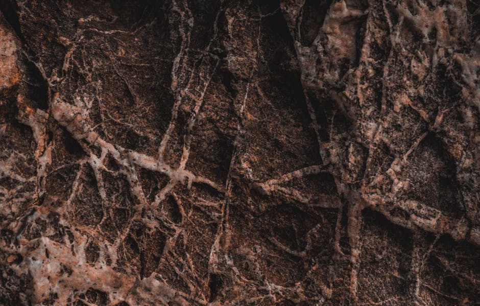 Mineralogy Brick wallpaper pattern — base photo: Close-up of soil layers revealing intricate root system patterns.