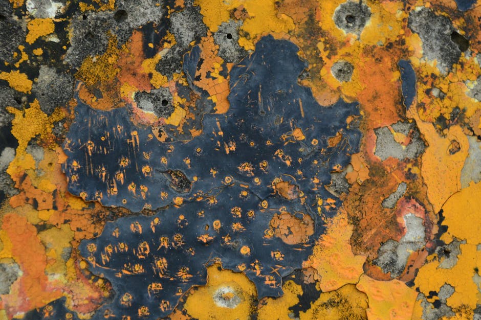 Seamless kaleidoscope wallpaper pattern — Calligraphy by wallpaper⁶ — base photo: Detailed close-up of vibrant orange and black lichen on a rock, showcasing texture and growth patter