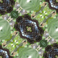 Entomology Diamond wallpaper pattern