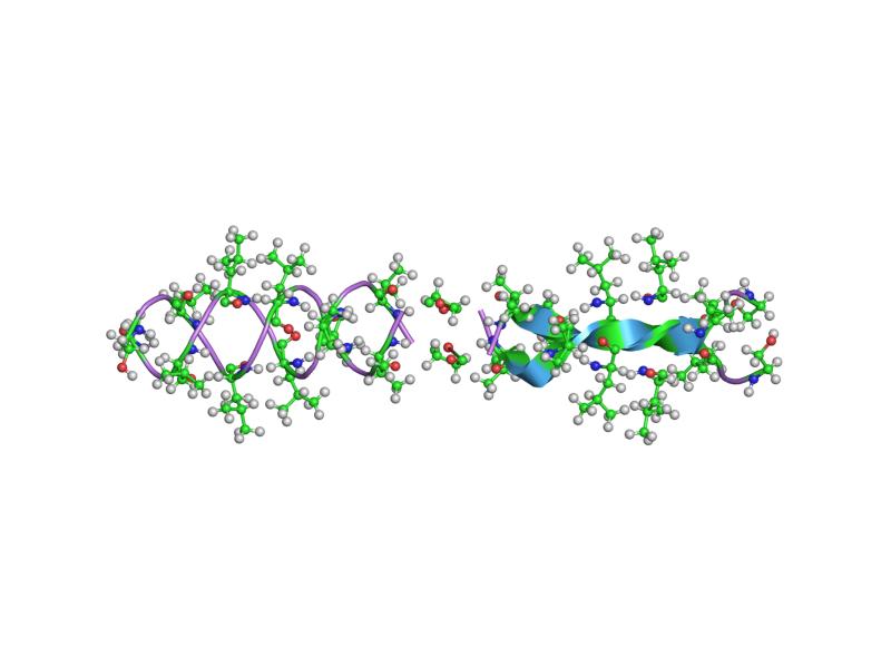 Seamless kaleidoscope wallpaper pattern — Biochemistry by wallpaper⁶ — base photo: File:PDB 1kqe EBI.jpg