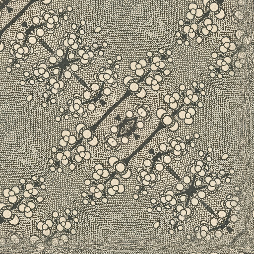 wallpaper⁶ — seamless diamond pattern from bauhaus