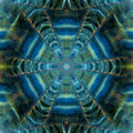 Seamless kaleidoscope wallpaper pattern — Biochemistry by wallpaper⁶