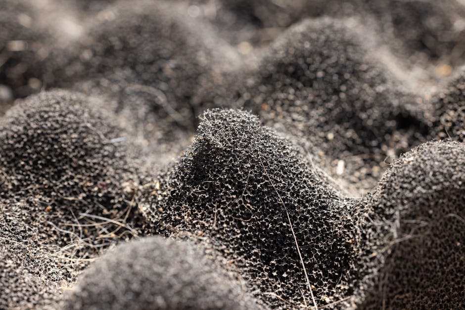 Seamless mirror wallpaper pattern — Biochemistry by wallpaper⁶ — base photo: Detailed close-up of a dark, textured synthetic sponge surface showcasing intricate patterns.