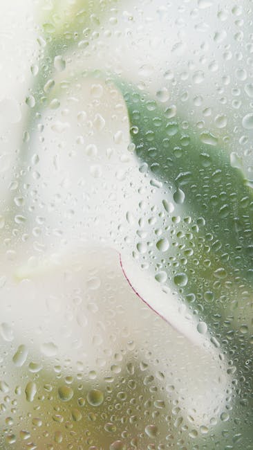 Seamless kaleidoscope wallpaper pattern — Stained Glass by wallpaper⁶ — base photo: A window covered with dewdrops, softly blurring the colorful plants behind it, creating a refreshing