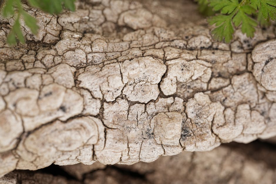 Algorithms Hexagon wallpaper pattern — base photo: Detailed shot of textured tree bark with green leaves, illustrating natural patterns.
